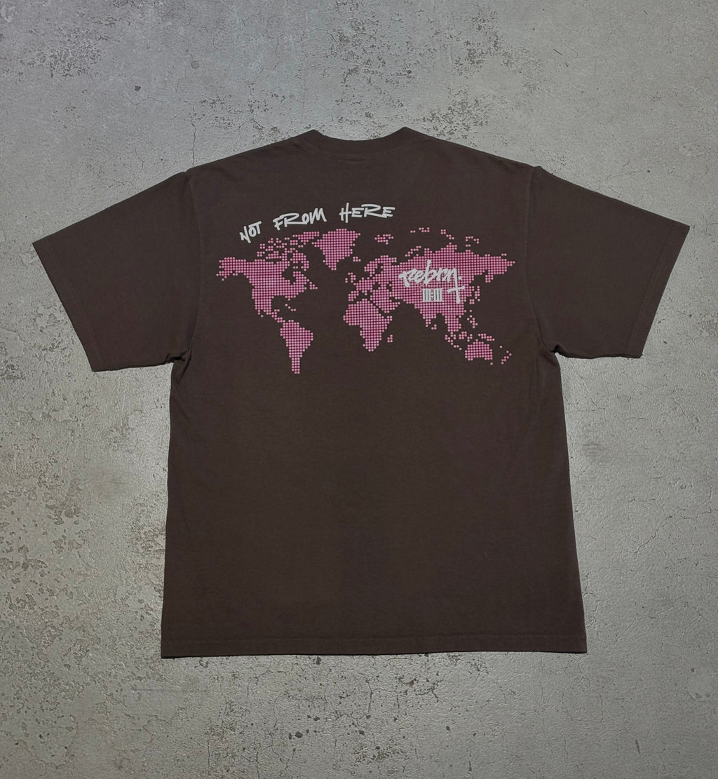 Not From Here | Brown & Pink